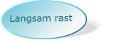 Langsam rast