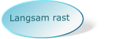 Langsam rast